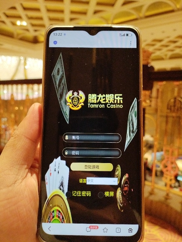 腾龙公司办公与创作空间